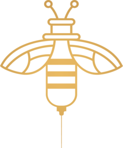 Dr. Bee